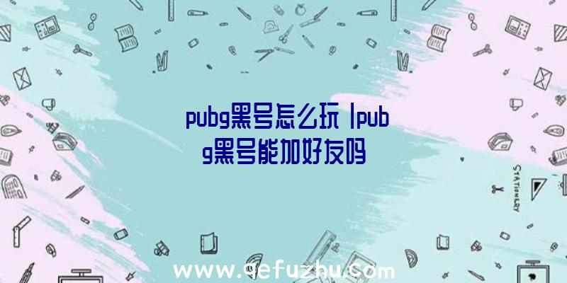 「pubg黑号怎么玩」|pubg黑号能加好友吗